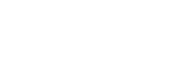 Bardelli Reno Tahoe Real Estate Group Logo White